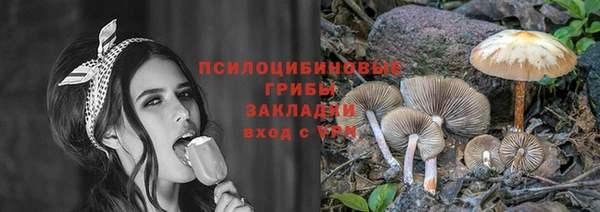 тгк Новокубанск
