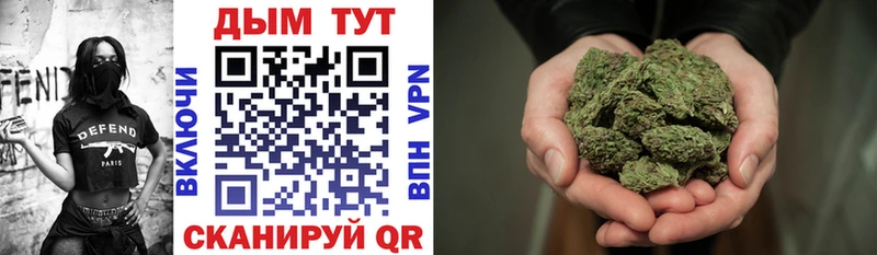 Канабис сатива Шлиссельбург